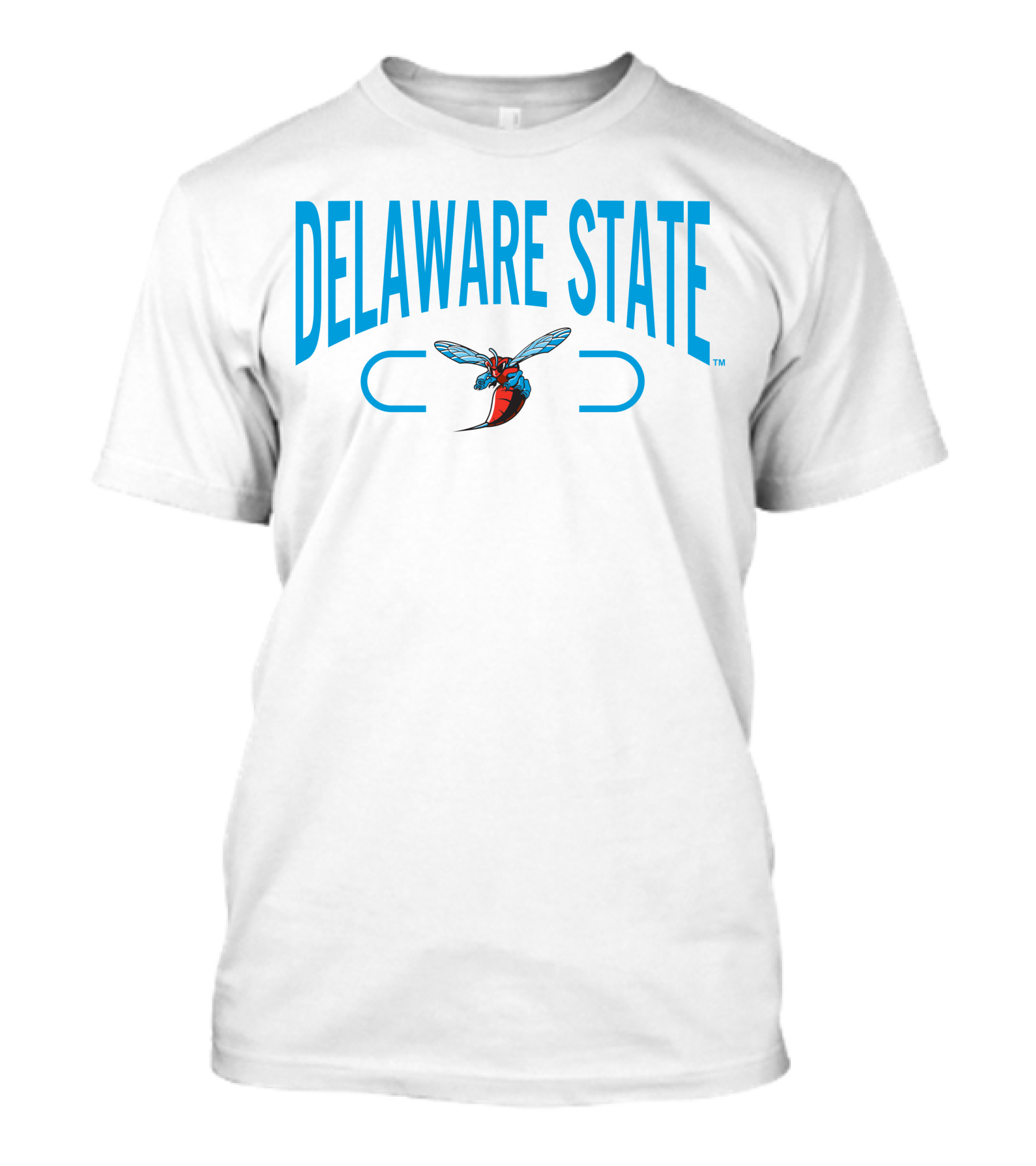 Delaware State Hornets 2.0 Champion T-Shirt