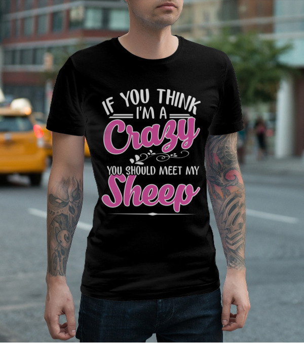 If You Think I'm A Crazy You Should Meet My Sheep Playful Text T-Shirt