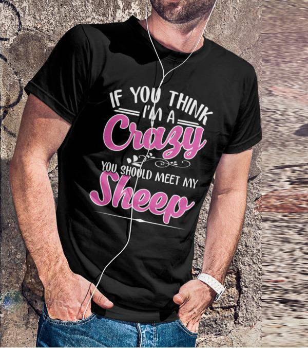 If You Think I'm A Crazy You Should Meet My Sheep Playful Text T-Shirt