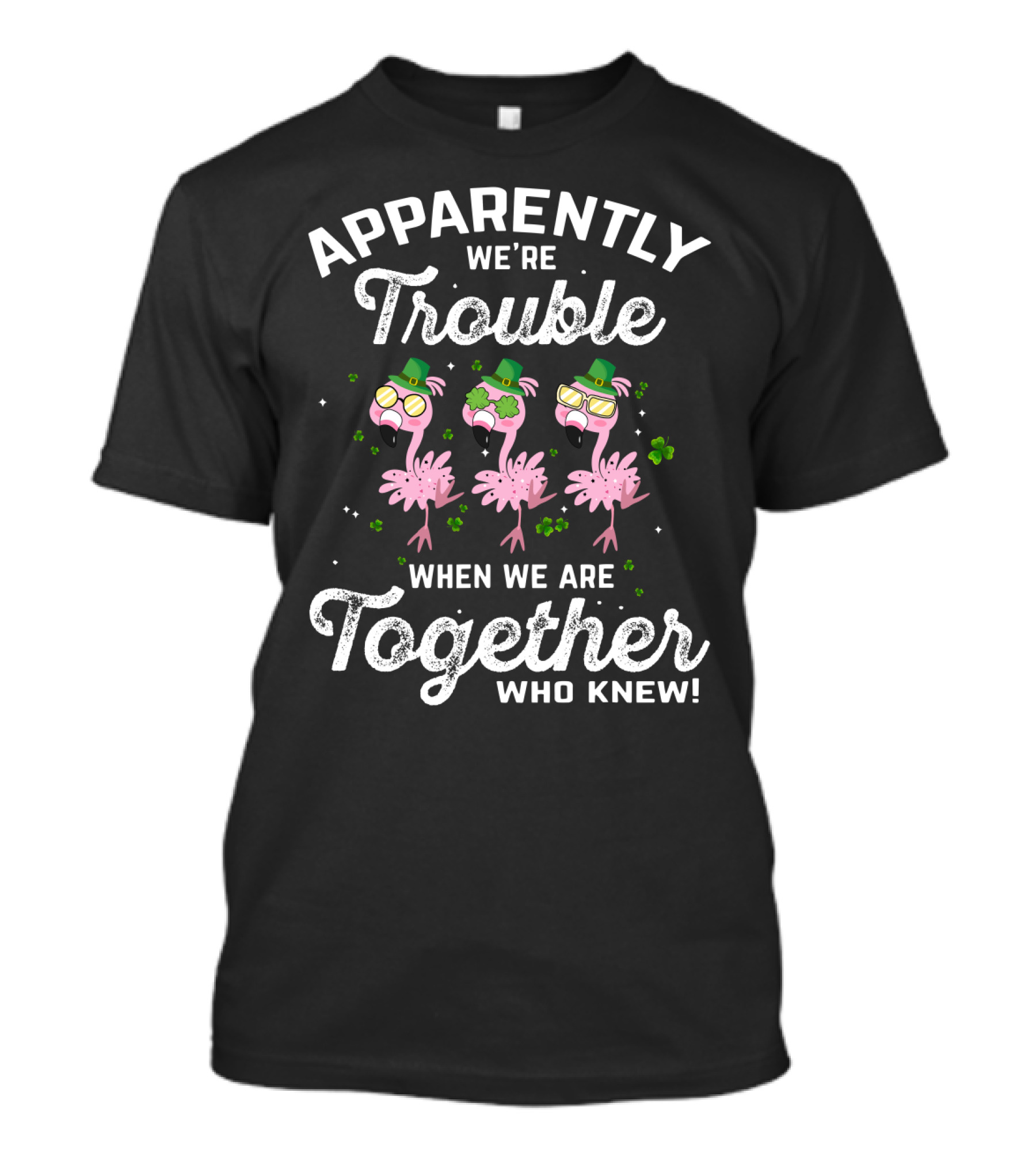 Apparently We're Trouble When We Are Together Flamingo Irish Who Knew T-Shirt