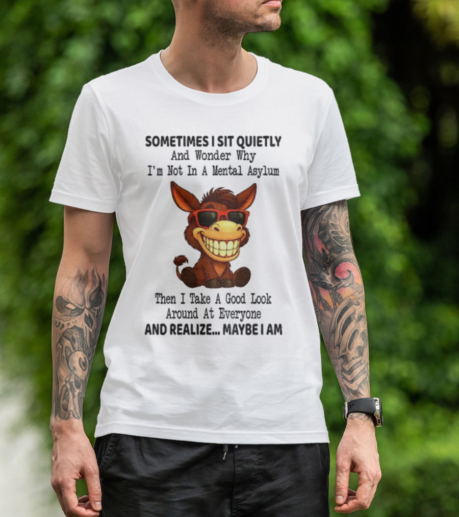 Sometimes I Sit Quietly And Wonder Why I'm Not In A Mental Asylum Then I Take A Good Look Around At Everyone And Realize Maybe I Am Donkey Meme T-Shirt