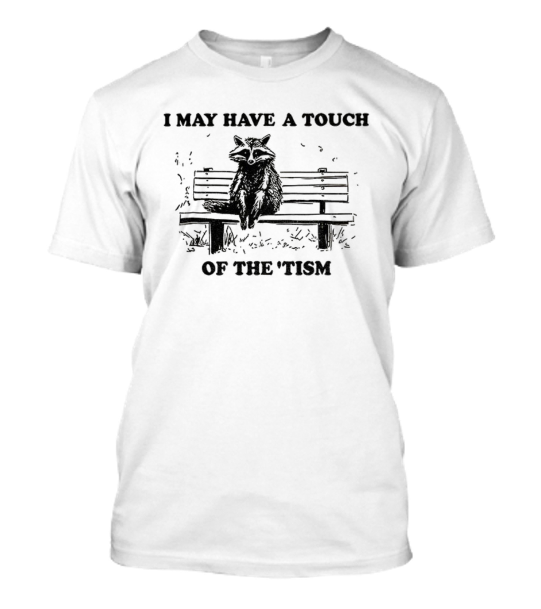 Raccoon I May Have A Touch Of The Tism Vintage Bench Sitting T-Shirt