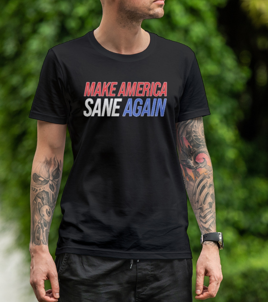 Duke Gomez Make America Sane Again Red White Blue Text T-Shirt