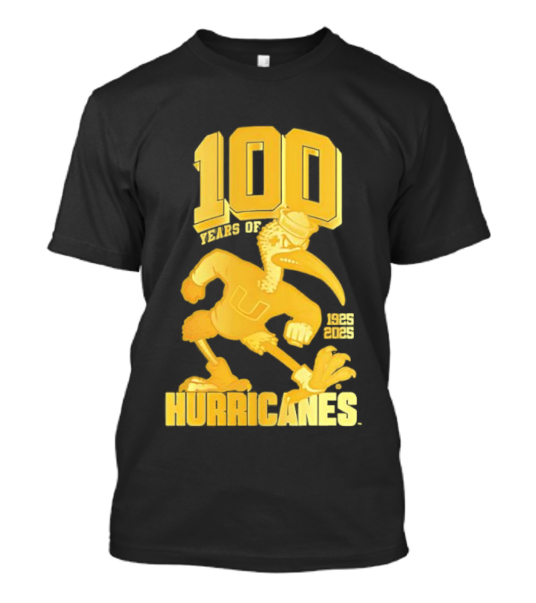 Miami Hurricanes Centennial Sebastian The Ibis 1925-2025 T-Shirt