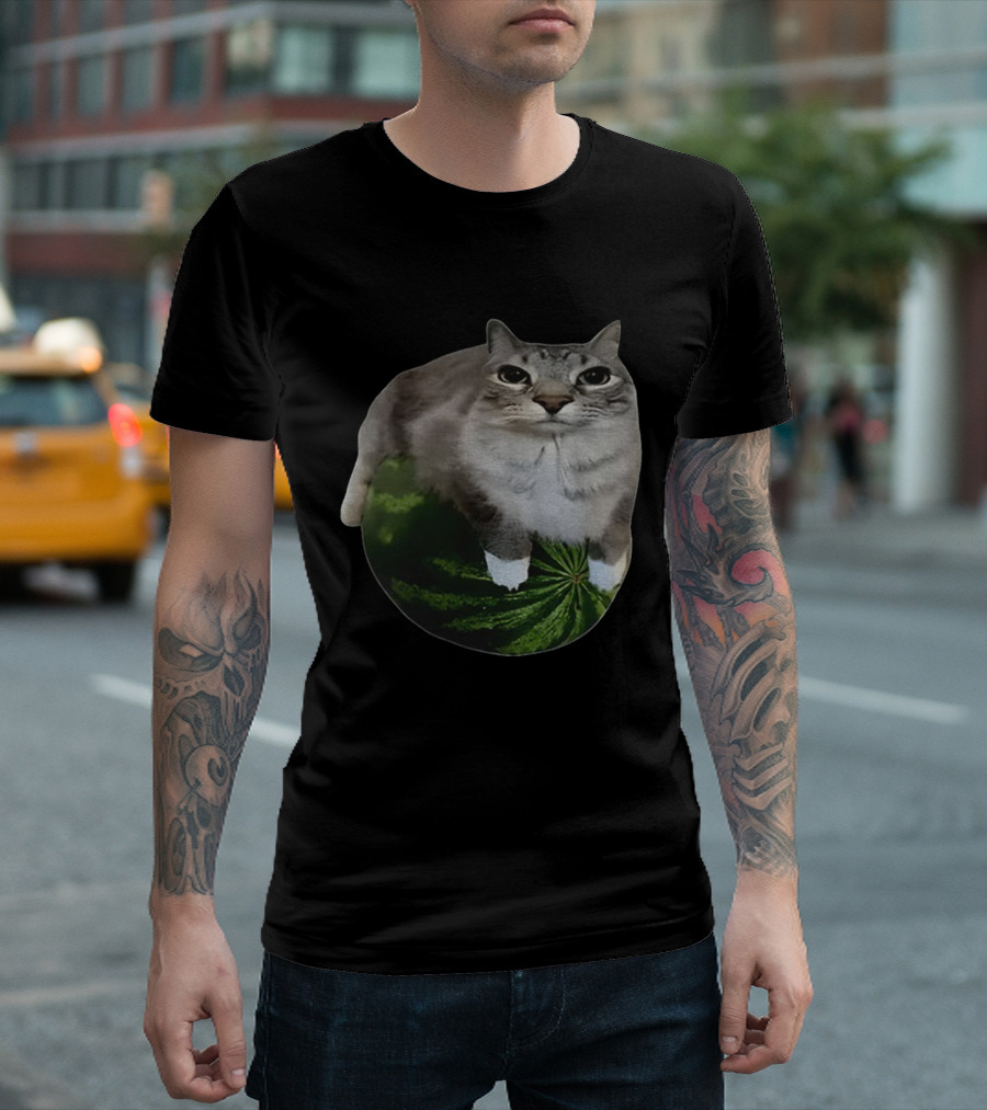 Watermelon Cat Meme Humor Collage T-Shirt