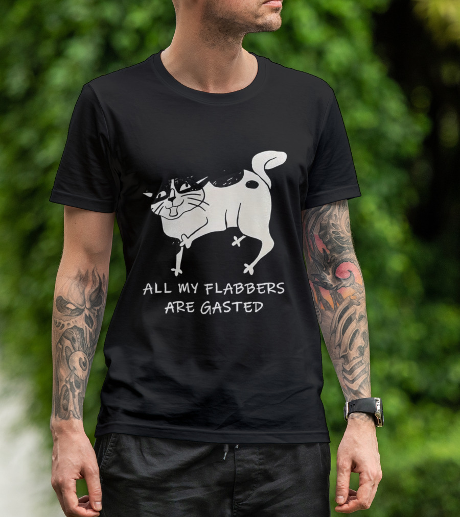 Surprised Cat All My Flabbers Are Gasted Sketch T-Shirt