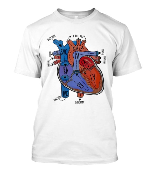 Heart Anatomy Blood Flow SVC RA RV IVC Aorta PA PV LA LV T-Shirt