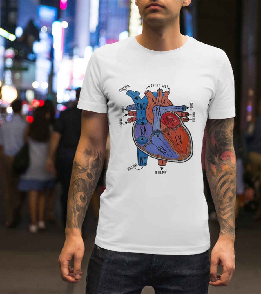 Heart Anatomy Blood Flow SVC RA RV IVC Aorta PA PV LA LV T-Shirt
