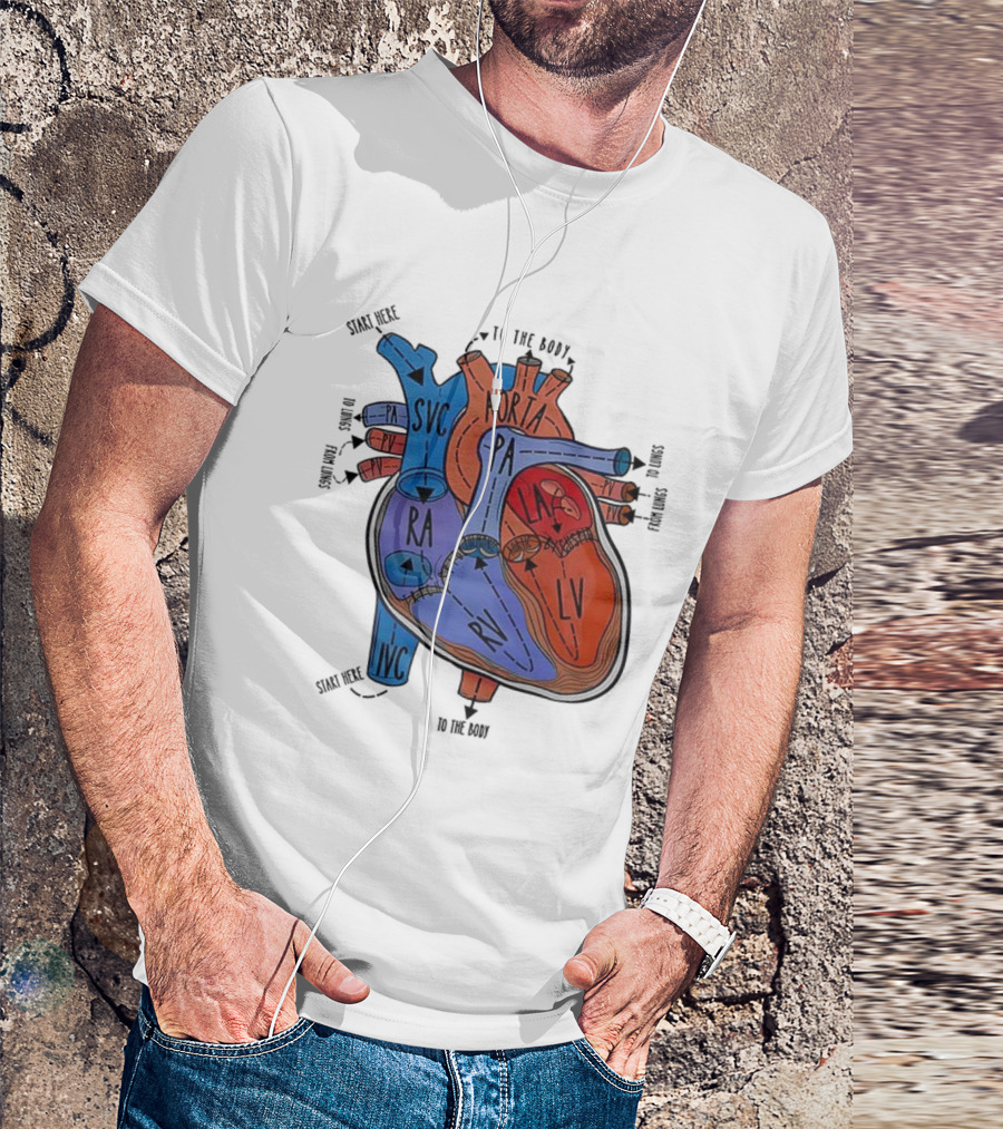 Heart Anatomy Blood Flow SVC RA RV IVC Aorta PA PV LA LV T-Shirt