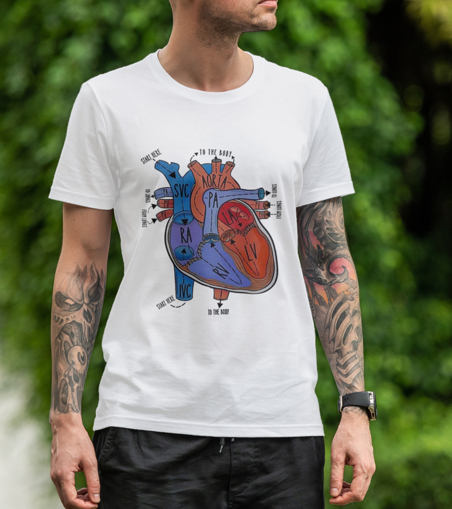 Heart Anatomy Blood Flow SVC RA RV IVC Aorta PA PV LA LV T-Shirt