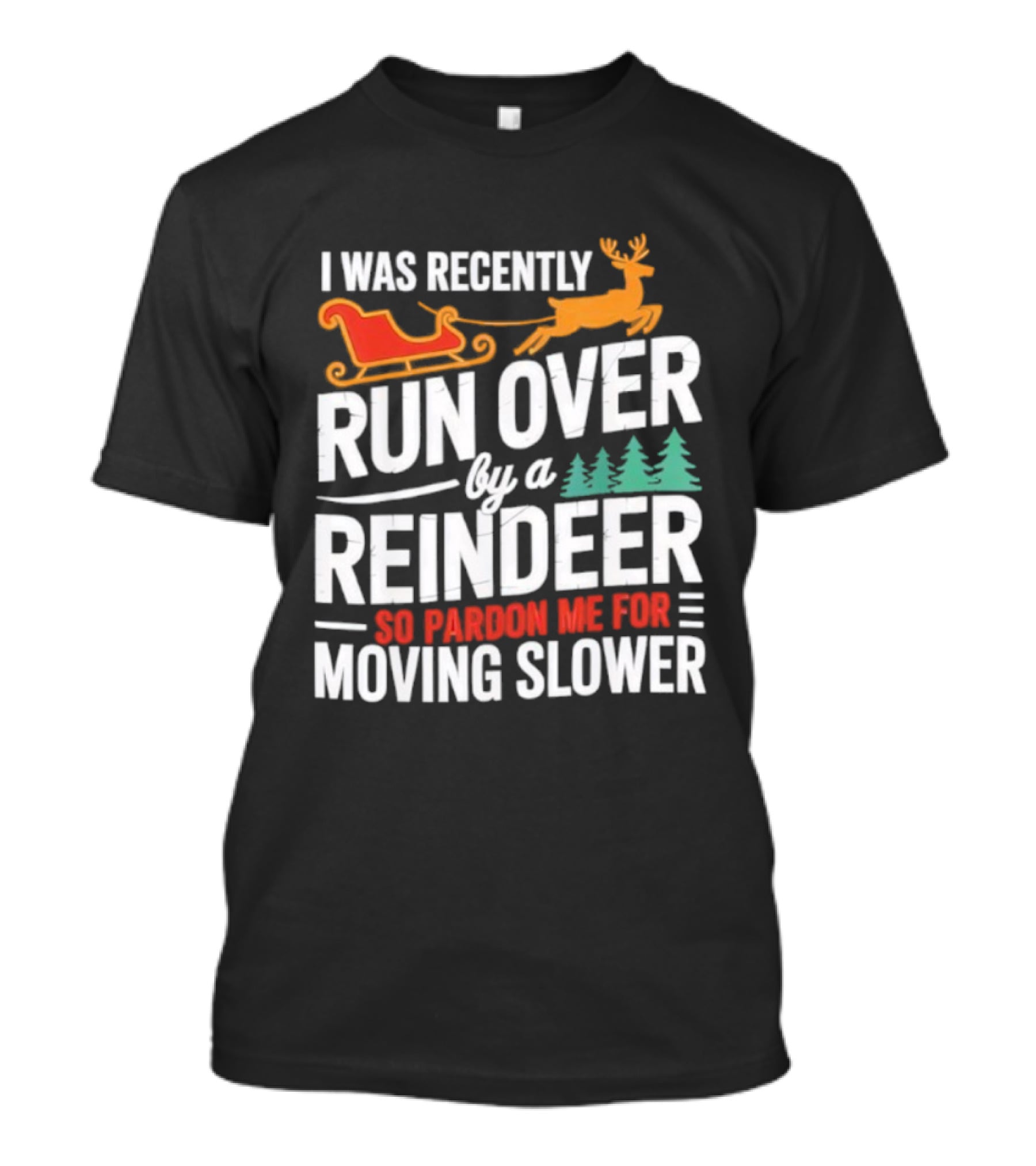 I Was Recently Run Over By A Reindeer So Pardon Me For Moving Slower T-Shirt