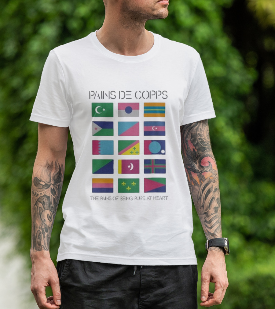 Pains De Corps The Pains Of Being Pure At Heart Flags T-Shirt