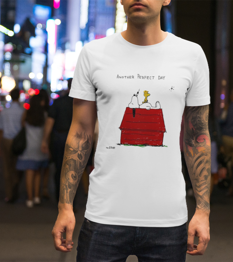 Snoopy And Woodstock Relaxing On Doghouse Perfect Day T-Shirt