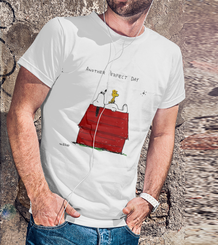 Snoopy And Woodstock Relaxing On Doghouse Perfect Day T-Shirt