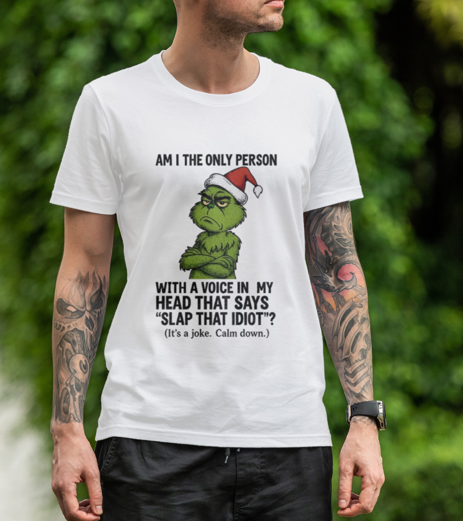 Grinch Santa Hat Am I The Only Person With A Voice In My Head That Says Slap That Idiot Christmas T-Shirt