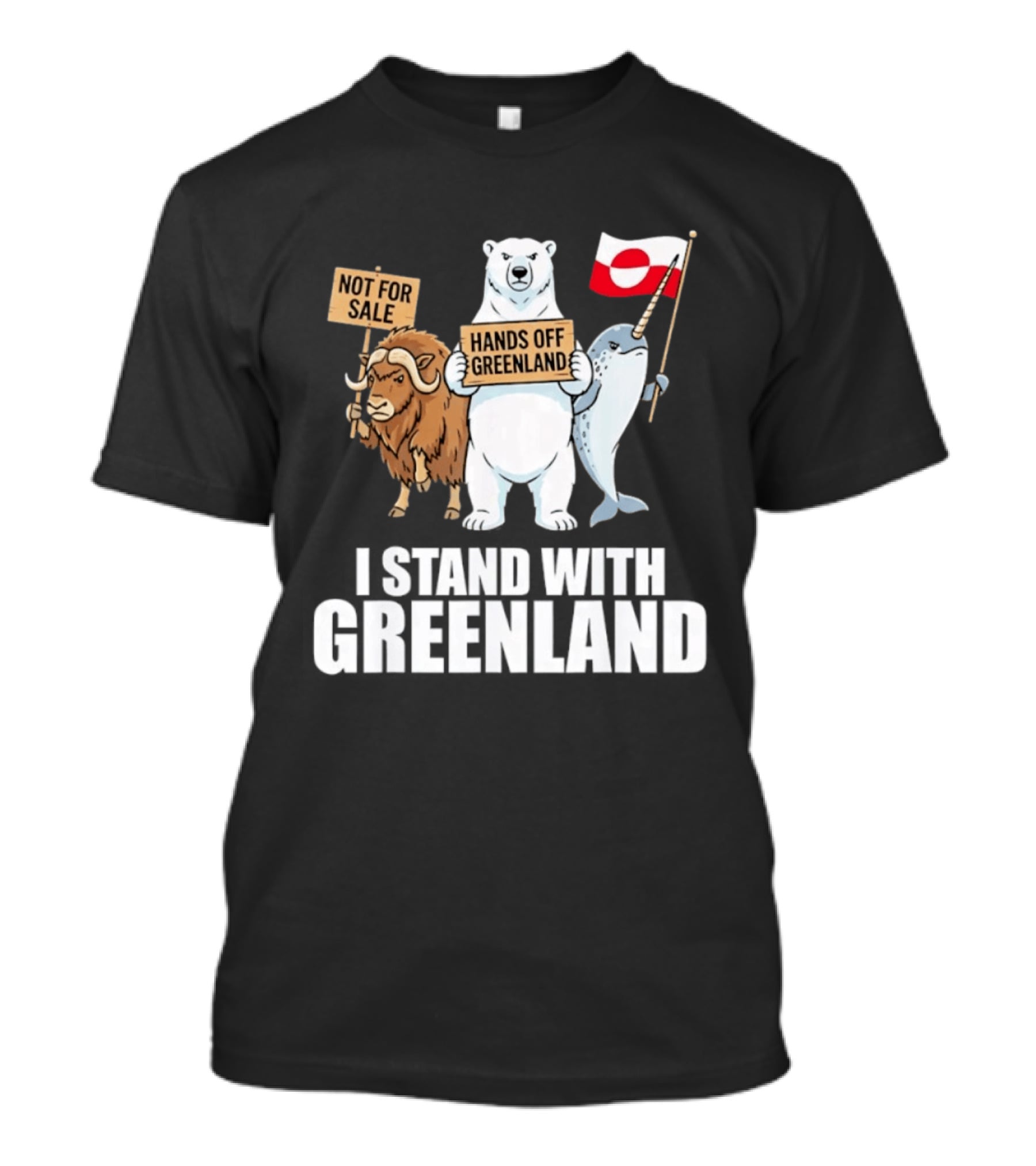 I Stand With Greenland Hands Off Greenland Not For Sale Flag Support Greenlanders T-Shirt