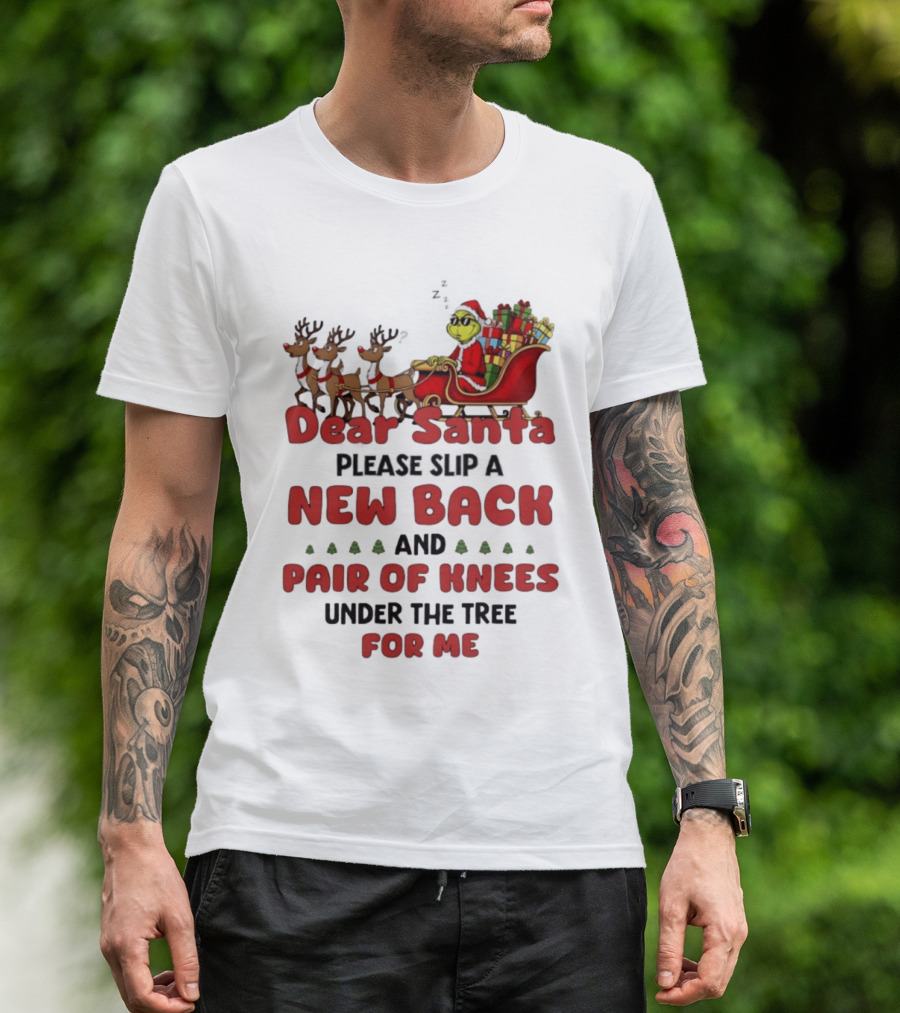 Dear Santa Grinch New Back Pair Of Knees Christmas Humor T-Shirt