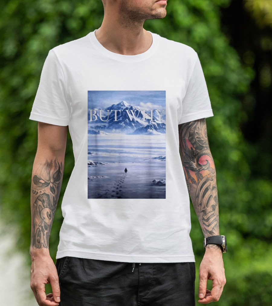 But Why Penguin Mountains T-Shirt