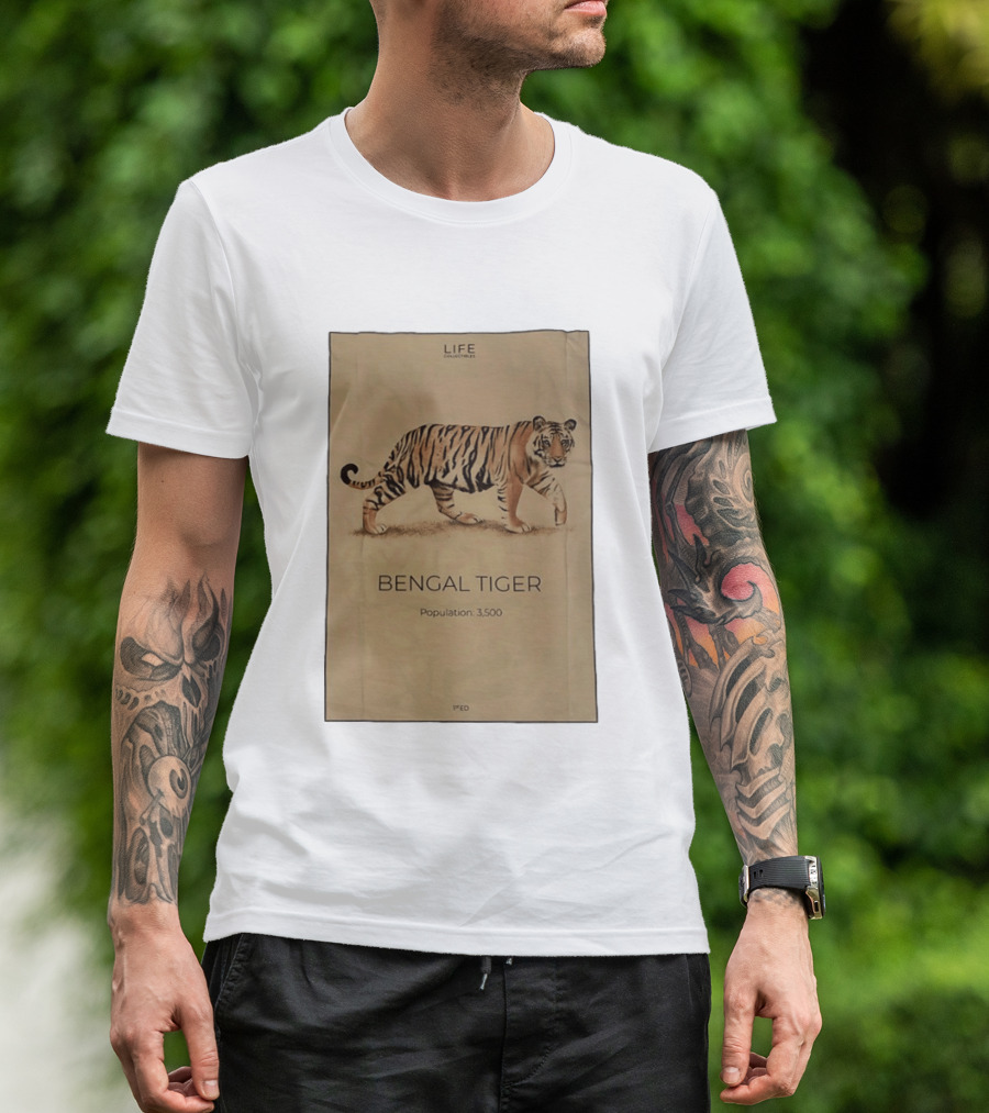 Life Collections Bengal Tiger Population 3,500 1st Ed T-Shirt