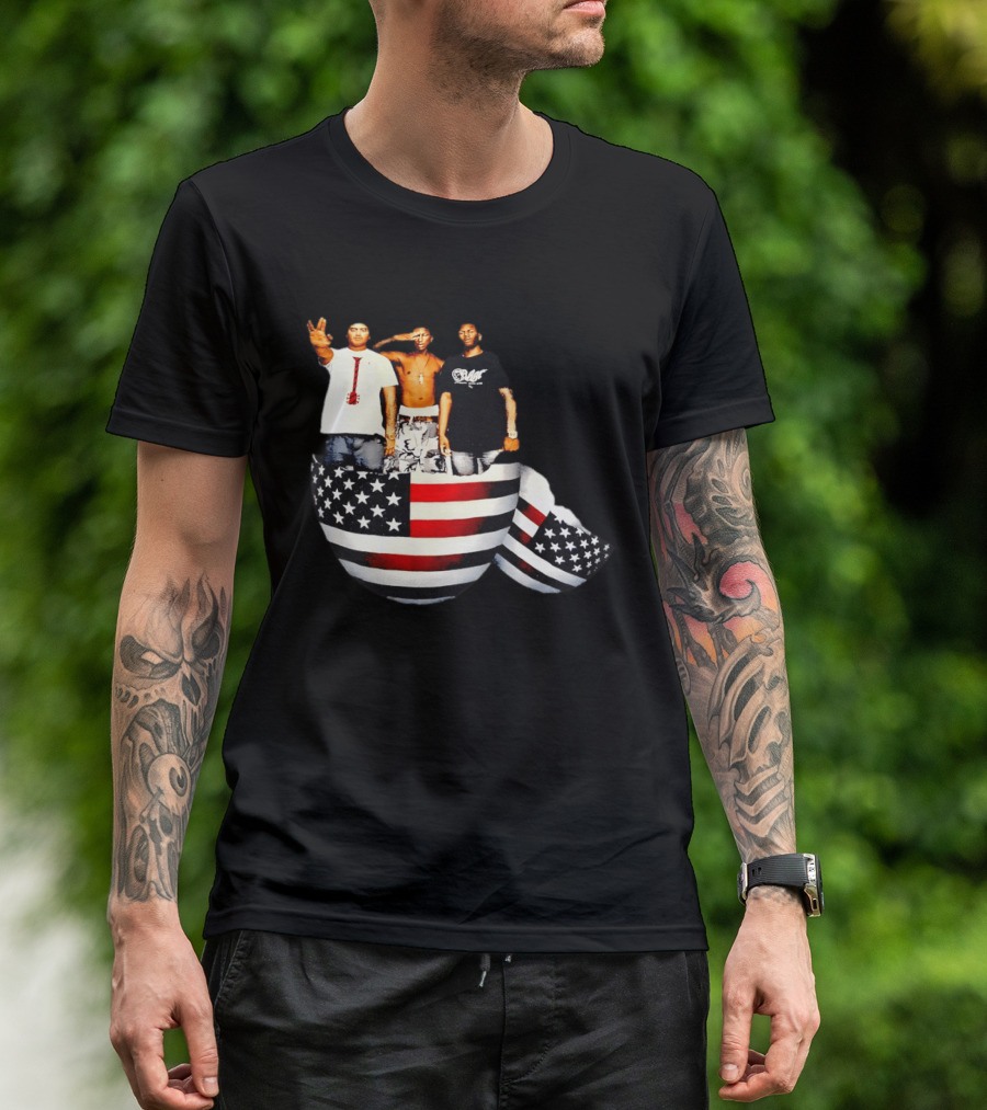 Pharrell Williams Chad Hugo Shae Haley USA Flag Egg Superimposed Image T-Shirt