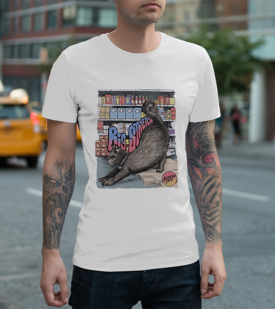 Big Stretch Bodega Cats Groceries Stack T-Shirt