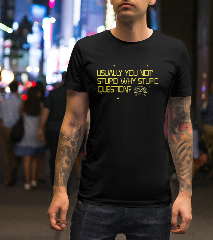 Usually You Not Stupid Why Stupid Question Project Hail Mary T-Shirt