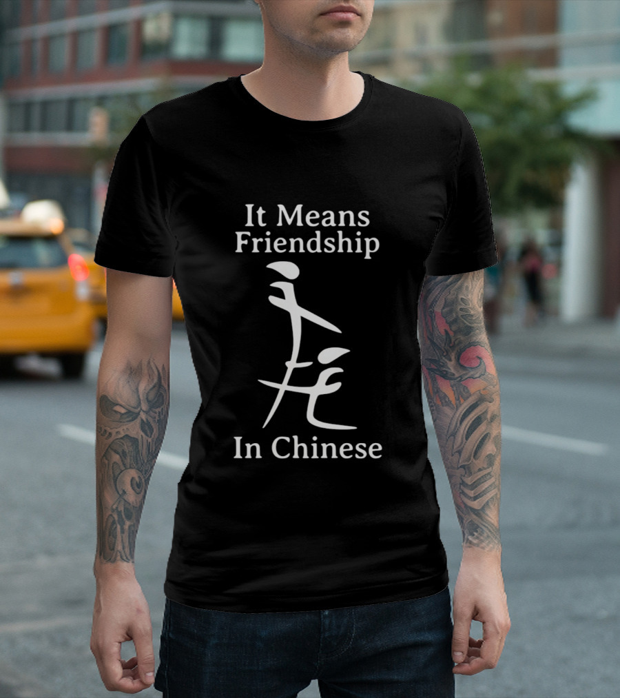 It Means Friendship In Chinese Inappropriate T-Shirt