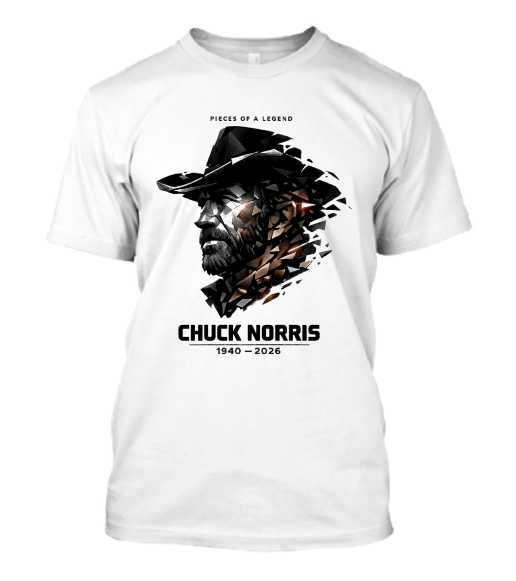 Chuck Norris Pieces Of A Legend 1940 2026 Cowboy Hat Triangular Fragmentation T-Shirt