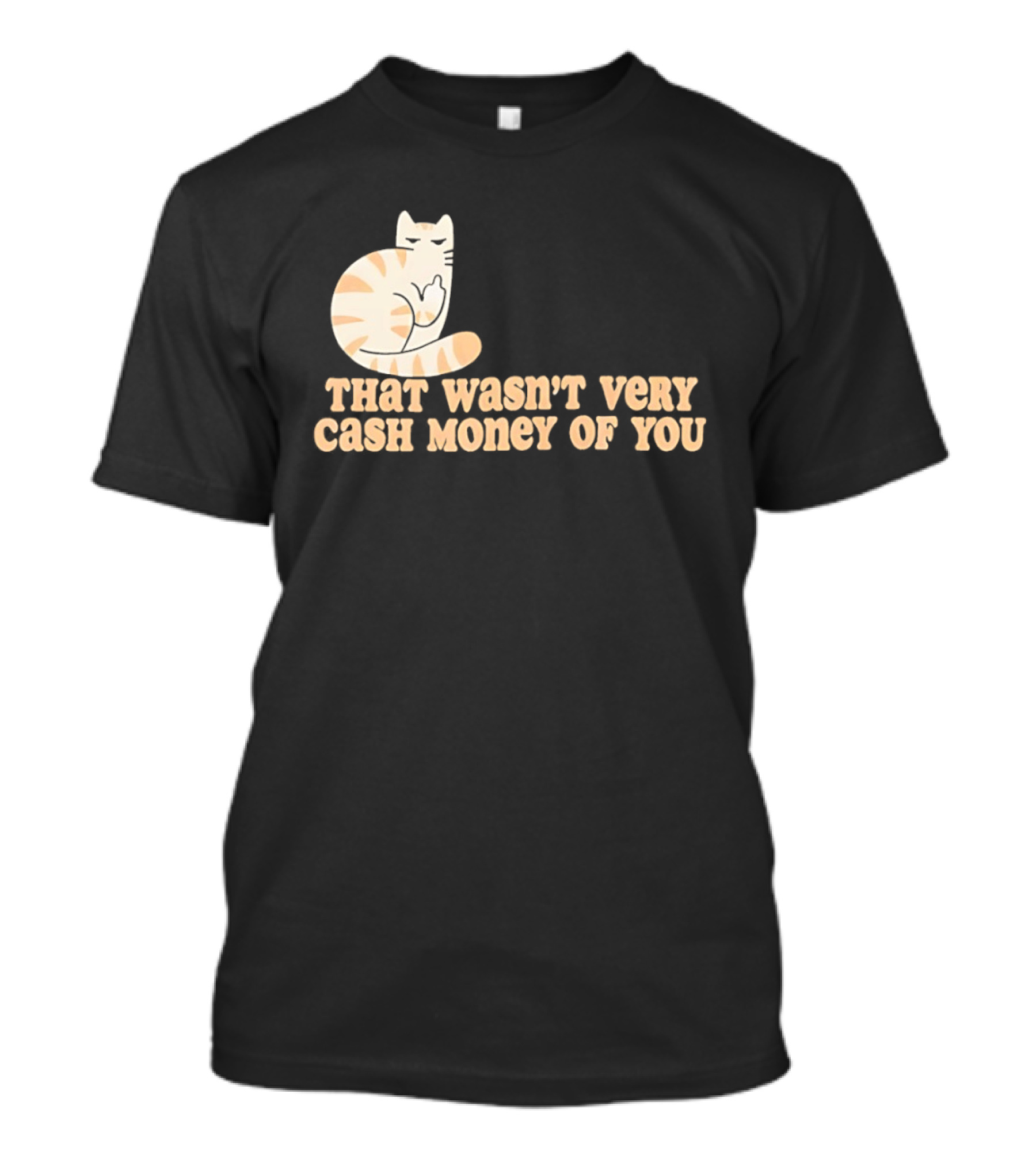 Tabby Cat Middle Finger That Wasn't Very Cash Money Of You T-Shirt