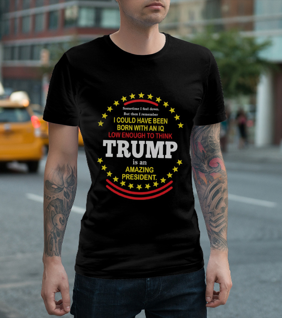 Sometime I Feel Down But Then I Remember I Could Have Been Born With An IQ Low Enough To Think Trump Is An Amazing President T-Shirt