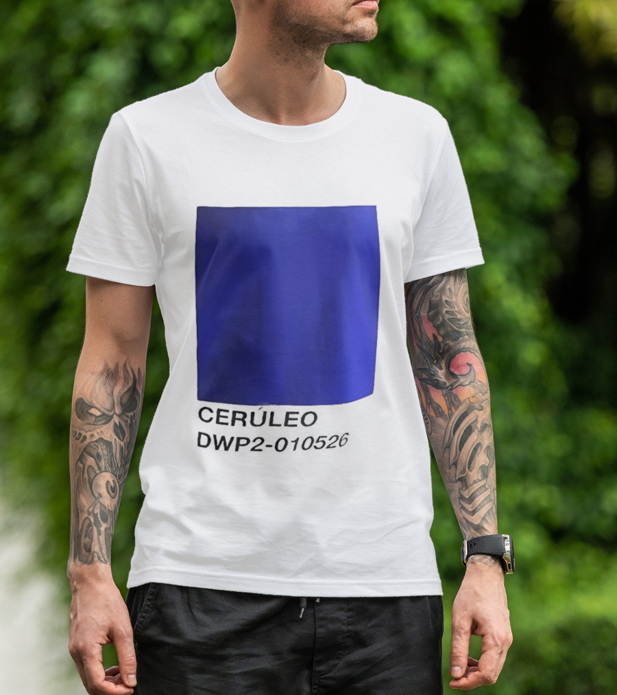 Ceruleo DWP2 010526 T-Shirt