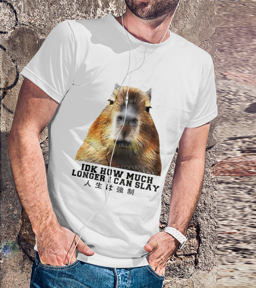 Capybara Idk How Much Longer I Can Slay T-Shirt