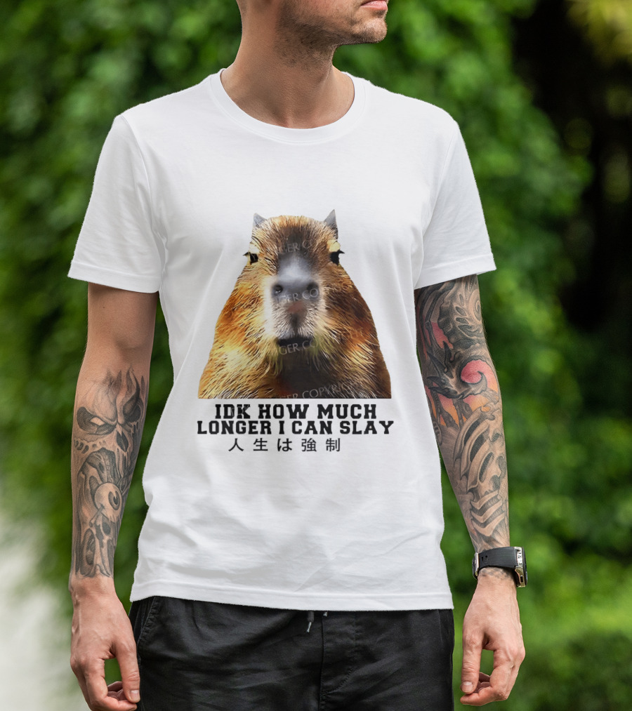 Capybara Idk How Much Longer I Can Slay T-Shirt