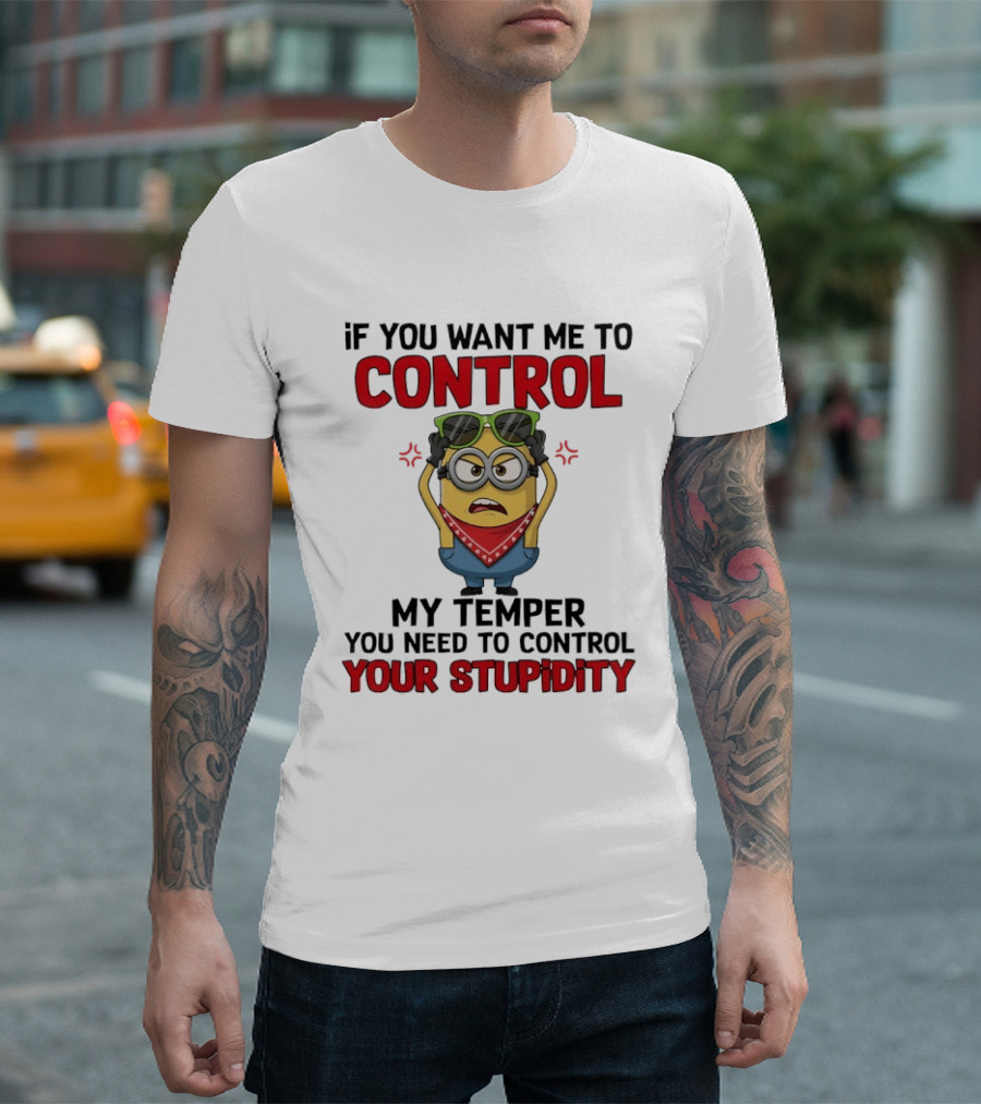 Grumpy Minion Control My Temper Control Your Stupidity T-Shirt
