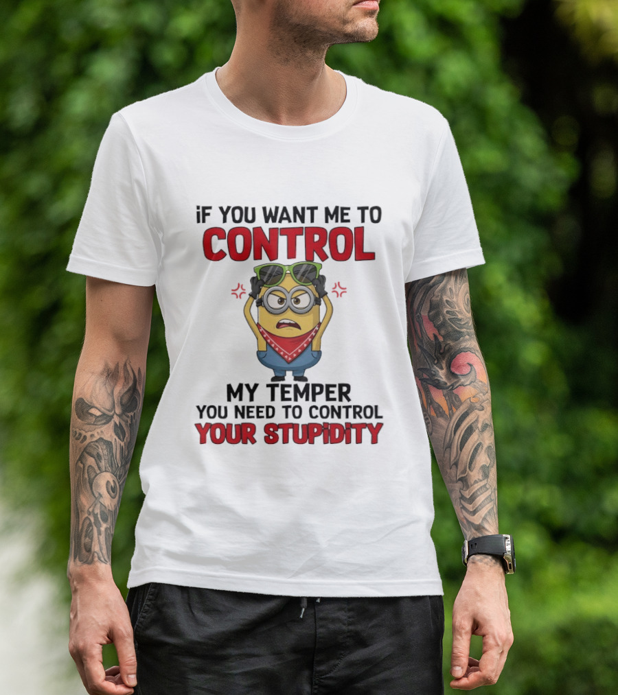 Grumpy Minion Control My Temper Control Your Stupidity T-Shirt
