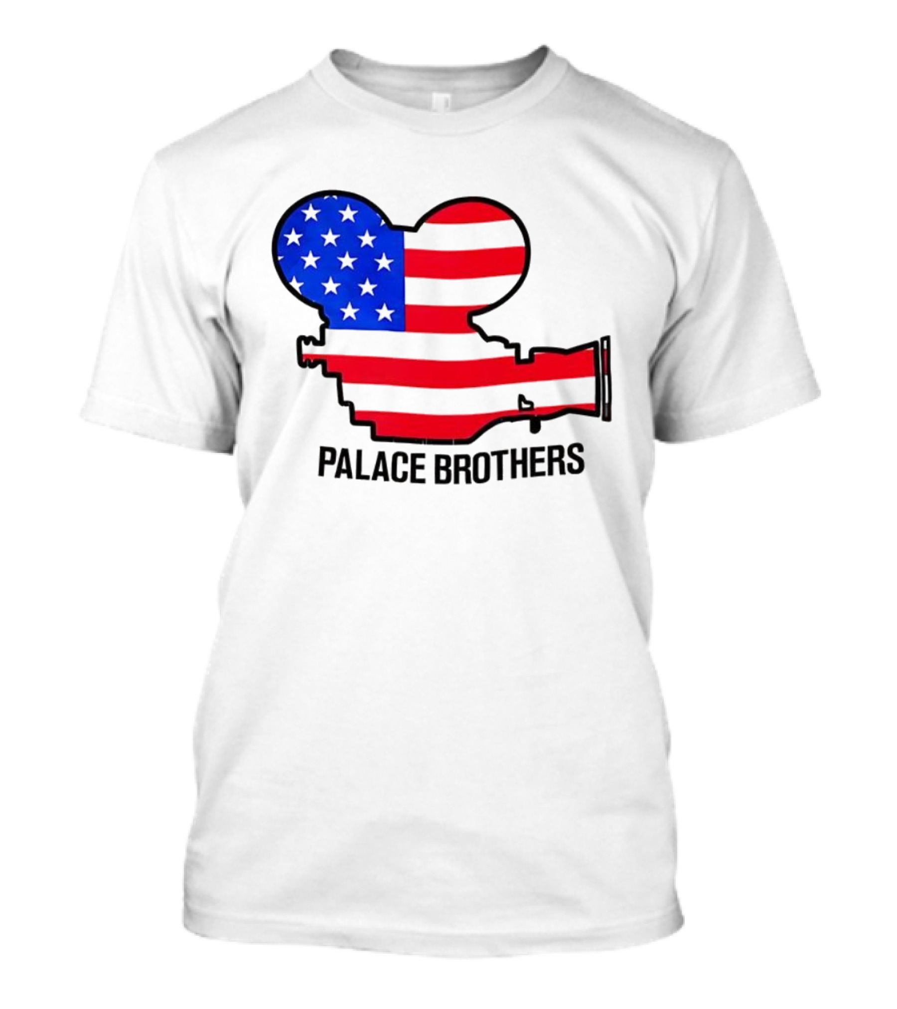 Palace Brothers American Flag Camera T-Shirt