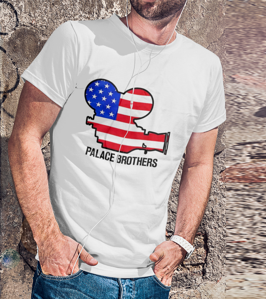 Palace Brothers American Flag Camera T-Shirt