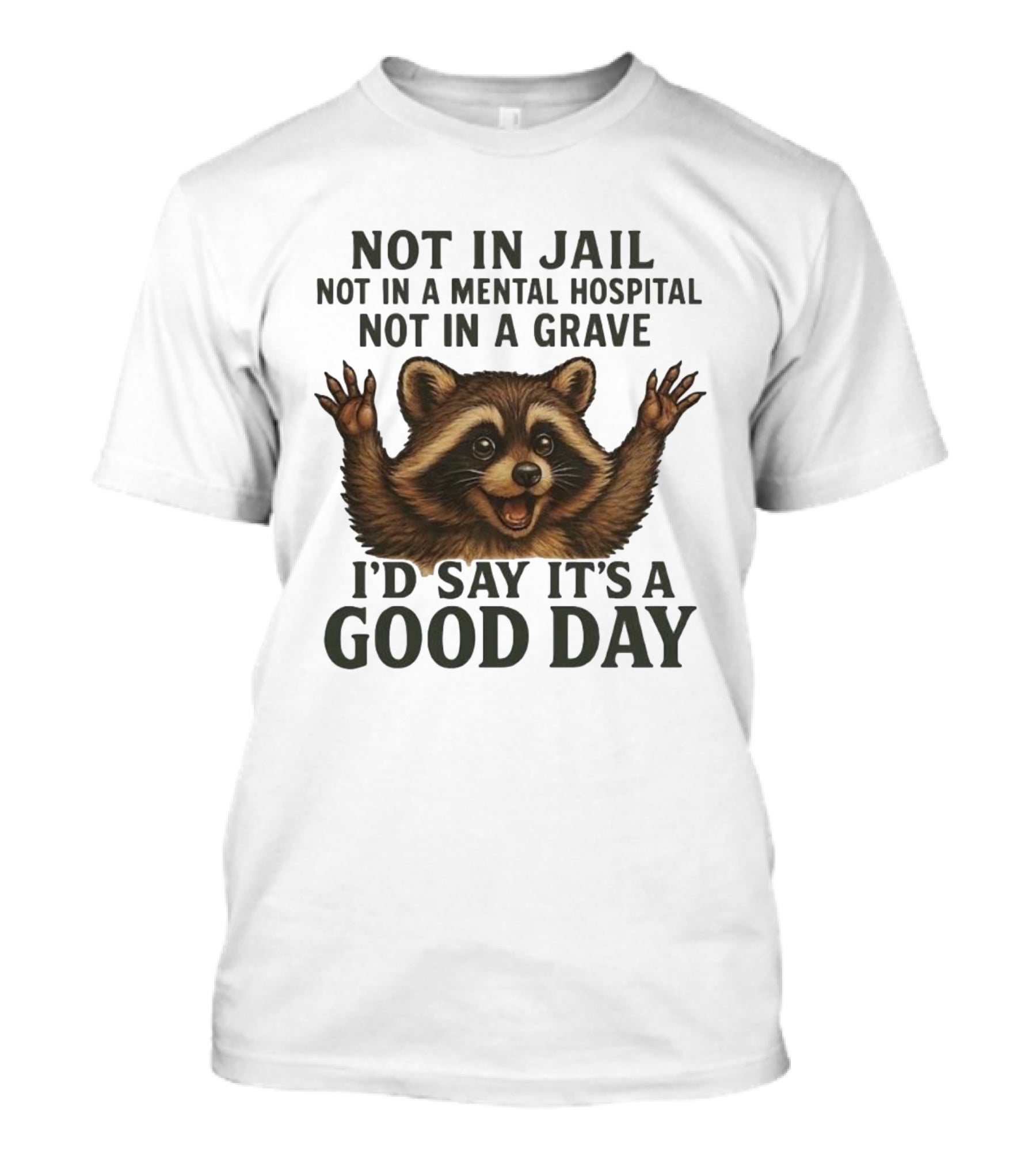 Raccoon Not In Jail Not In A Mental Hospital Not In A Grave I’d Say It’s A Good Day T-Shirt