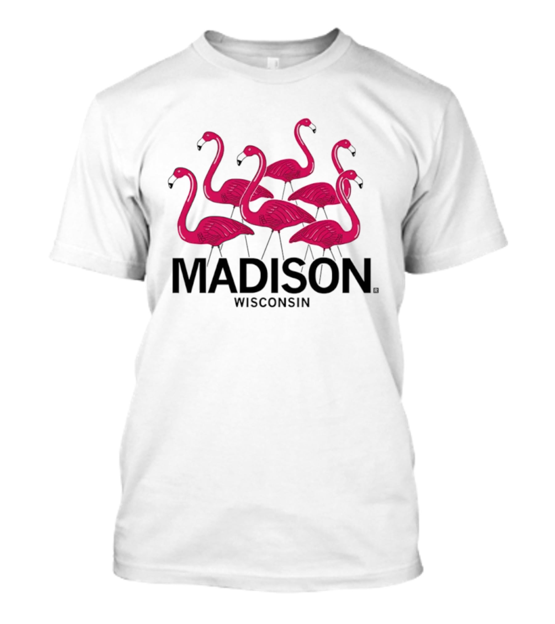 Madison Wisconsin Pink Flamingos T-Shirt
