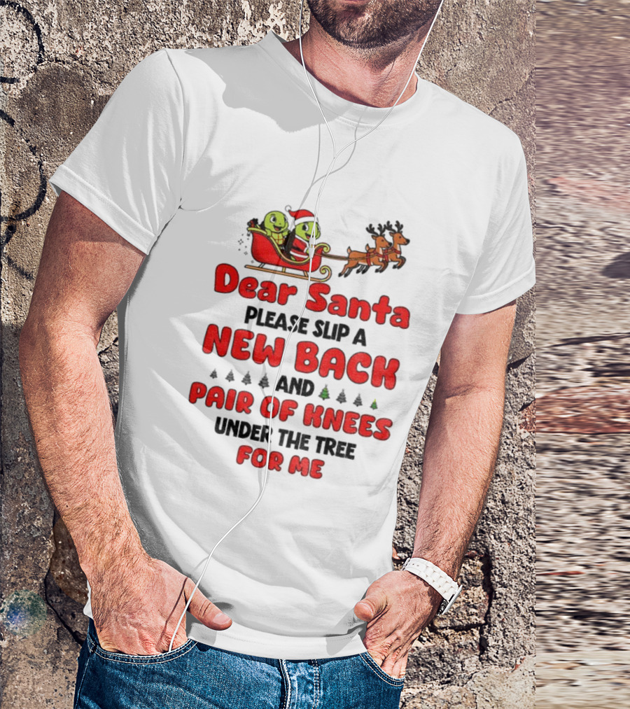Dear Santa New Back Pair Of Knees Holiday Turtle Sleigh T-Shirt