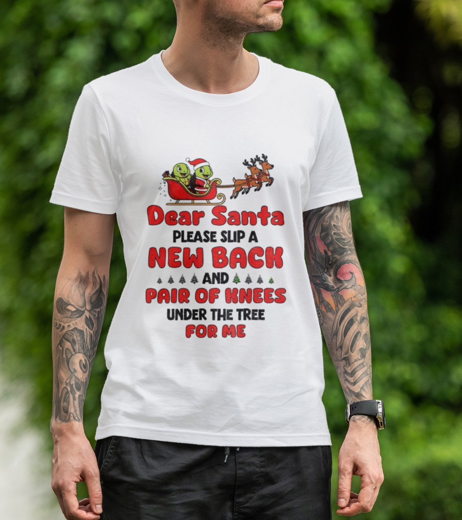 Dear Santa New Back Pair Of Knees Holiday Turtle Sleigh T-Shirt