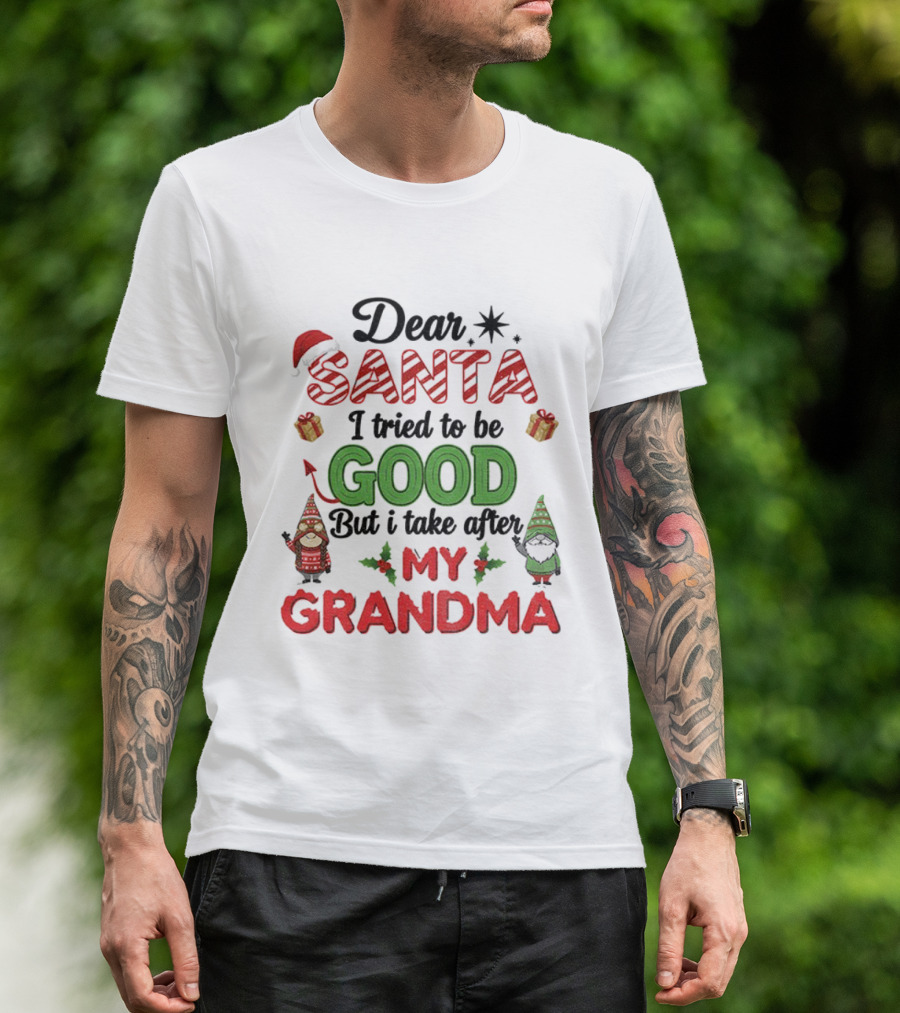 Dear Santa I Tried To Be Good But I Take After My Grandma Gnome Couple Christmas T-Shirt