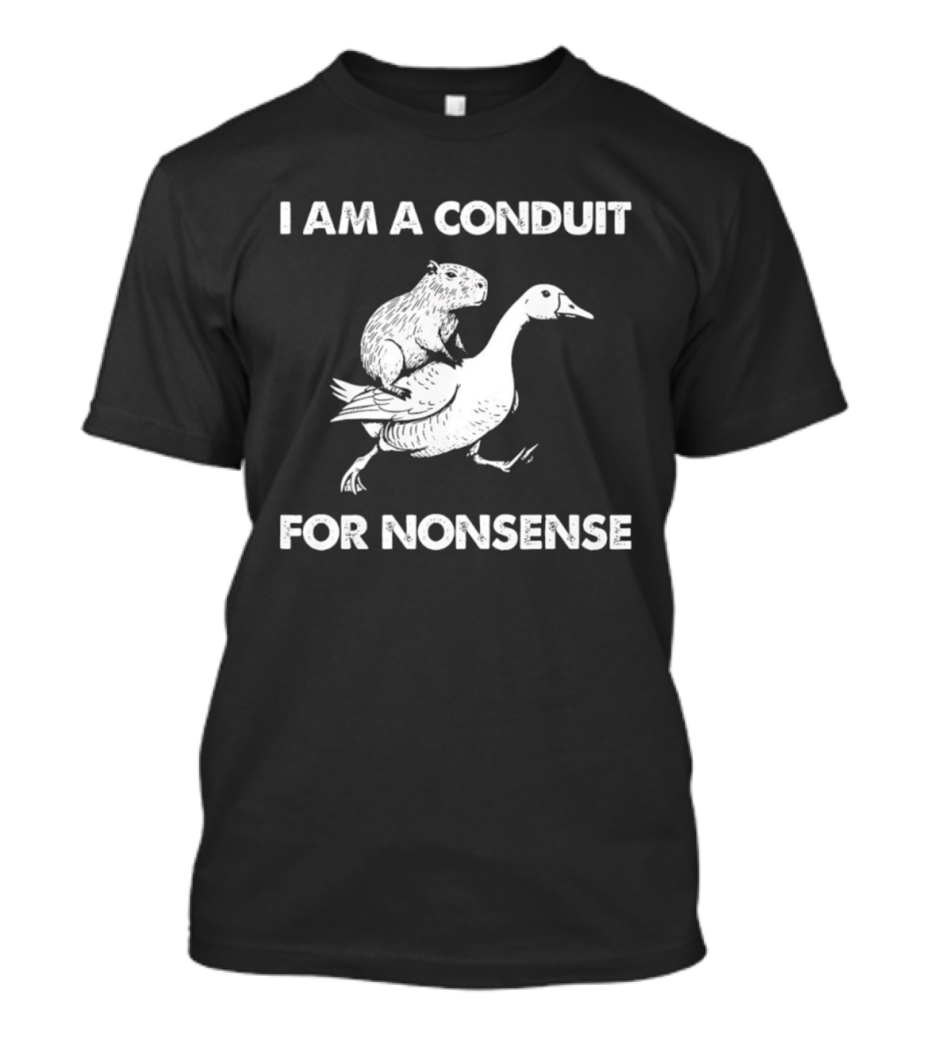 Capybara Riding Goose I Am A Conduit For Nonsense T-Shirt