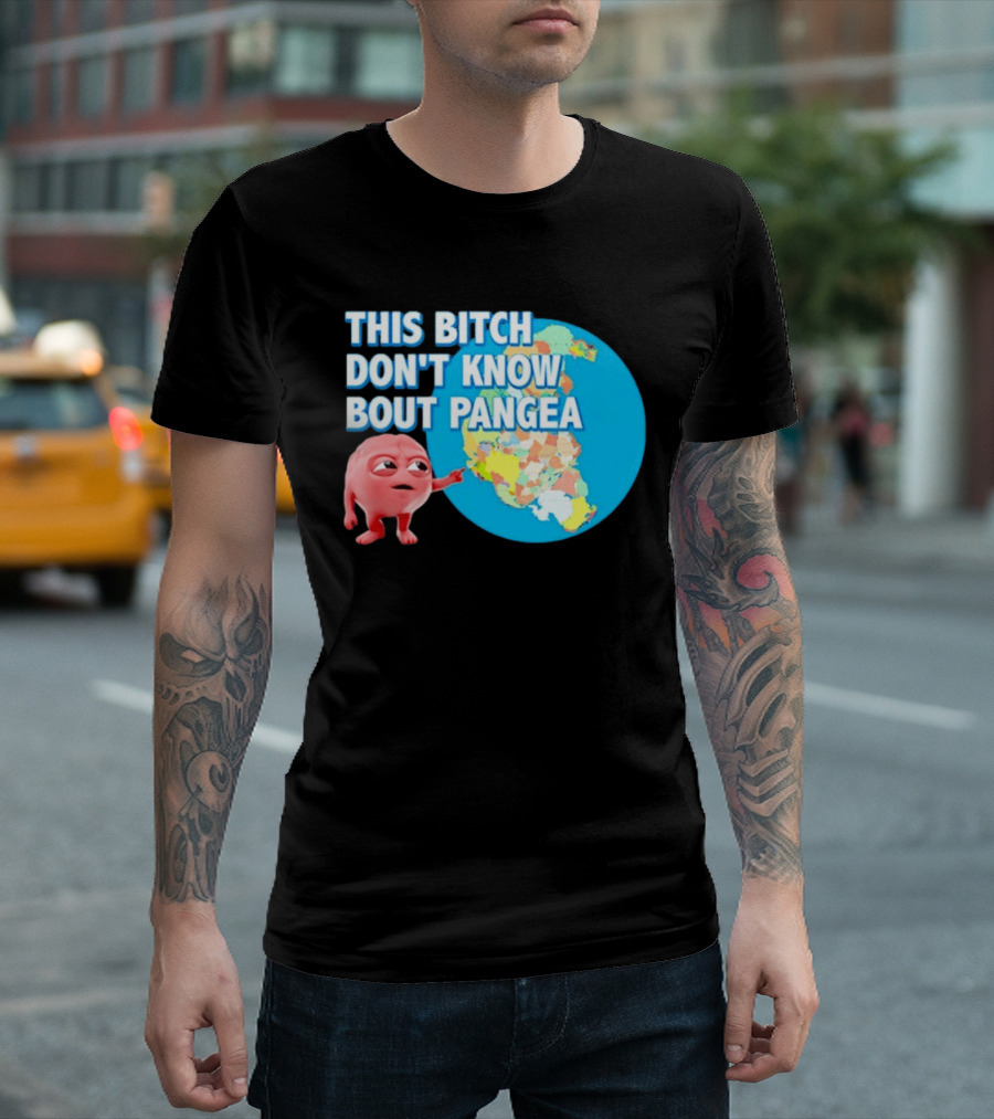 This Bitch Don't Know Bout Pangea Brain Meme Map T-Shirt