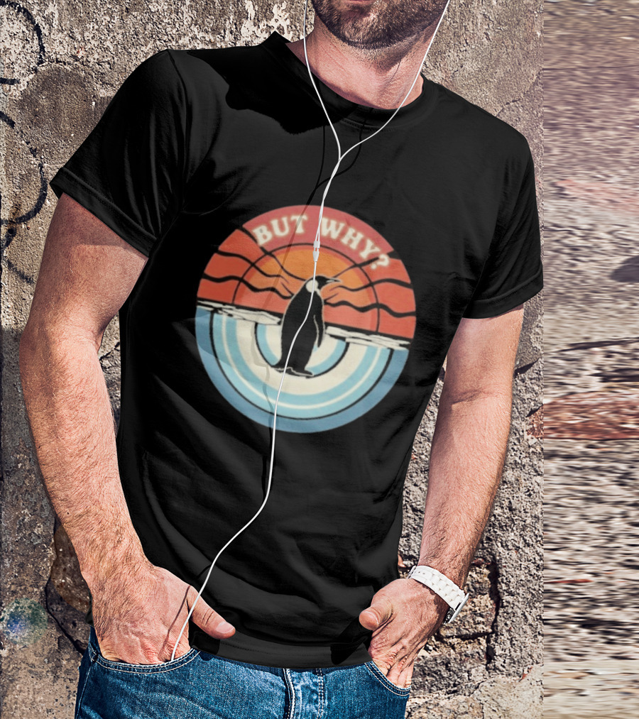 But Why Penguin Vintage Sunset Retro Ocean Waves T-Shirt