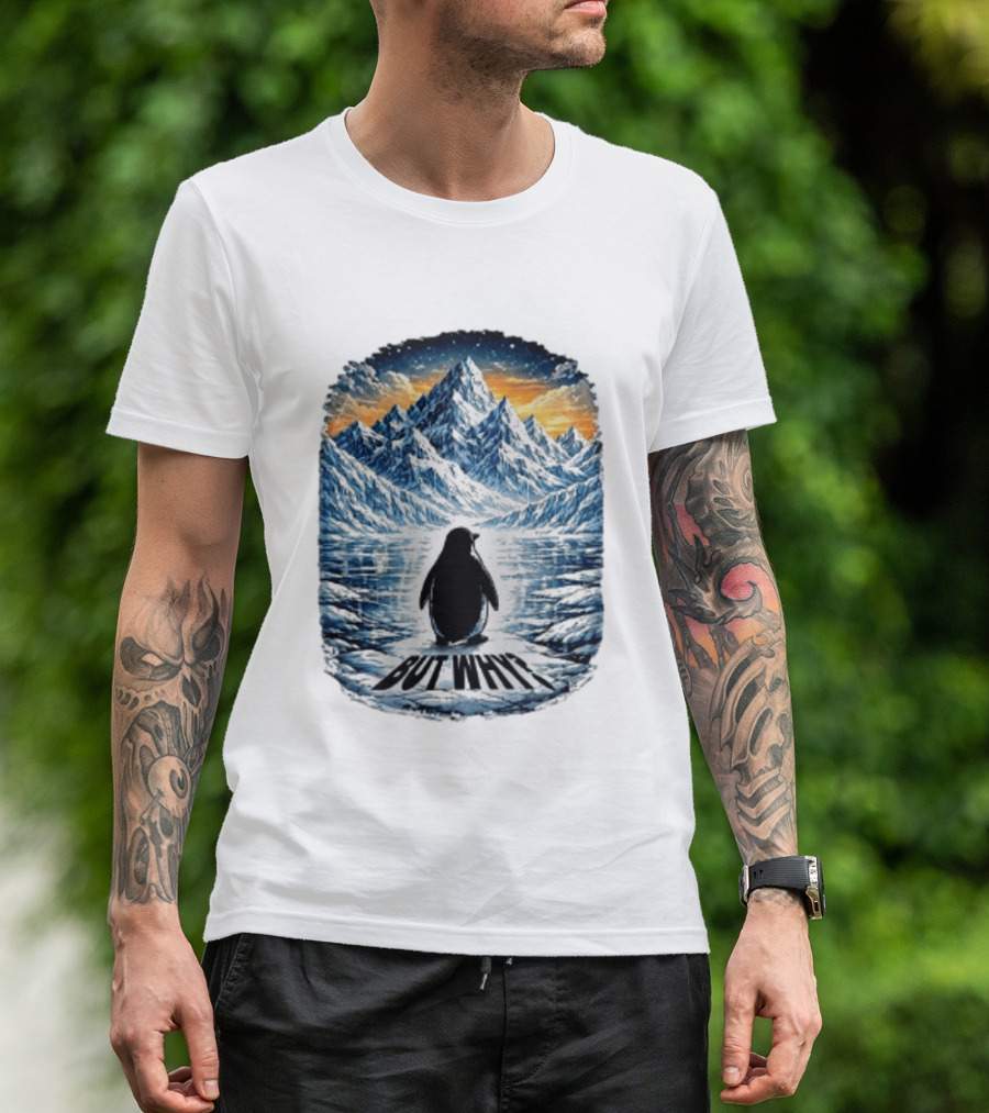 Viral Nihilist Penguin But Why Mountain Reflection T-Shirt