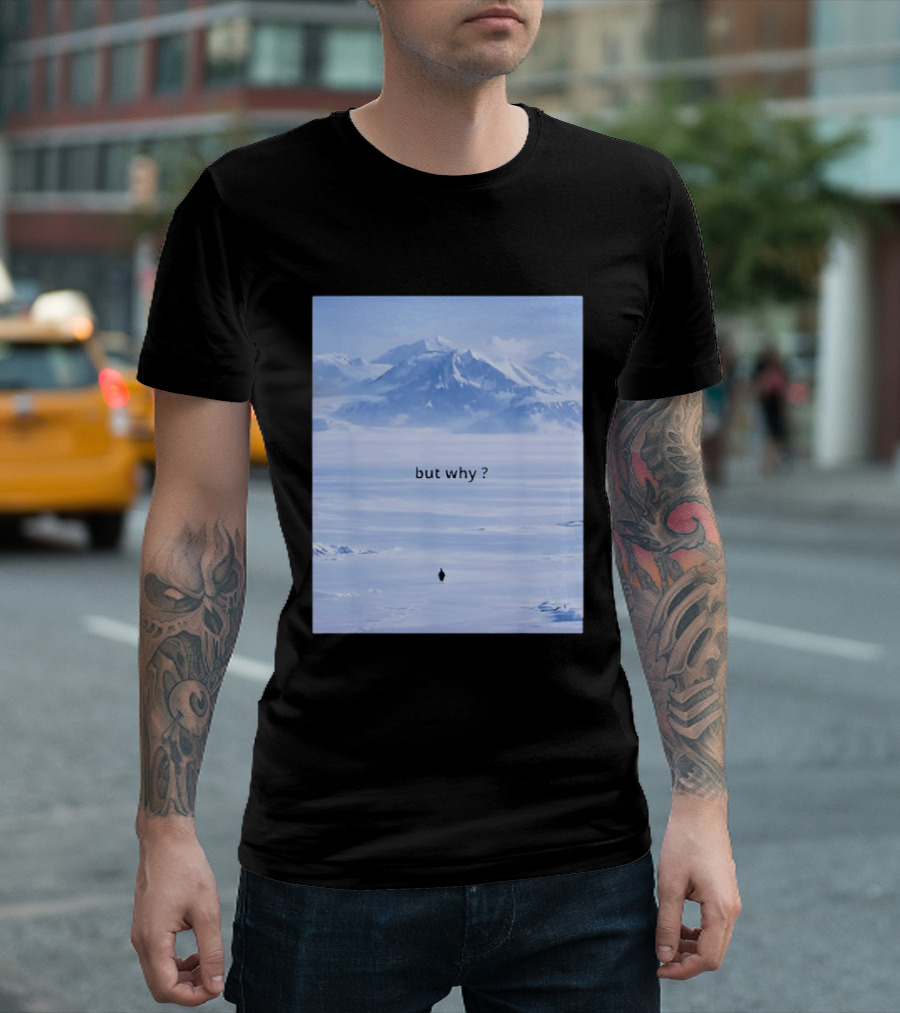 Penguin But Why Meme Snowy Mountains Motivational Scene T-Shirt
