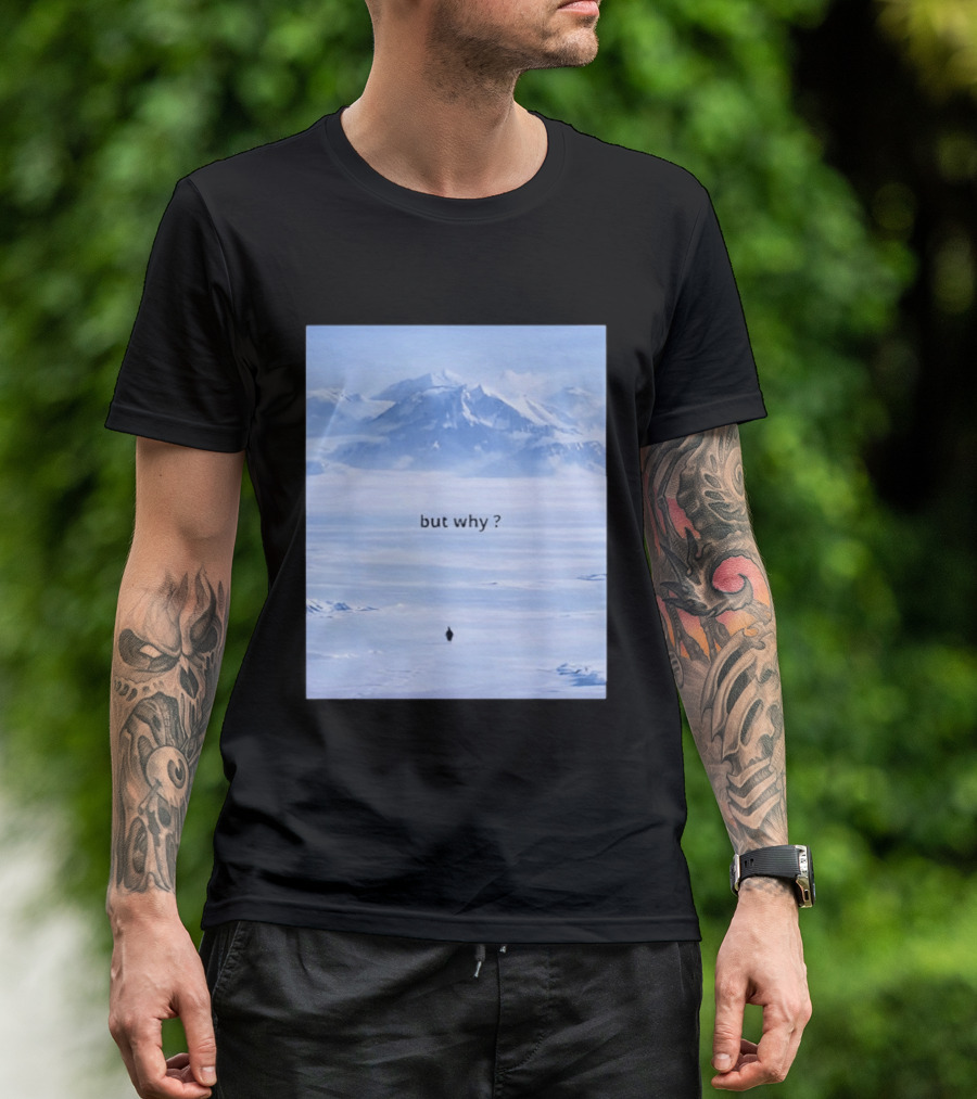 Penguin But Why Meme Snowy Mountains Motivational Scene T-Shirt
