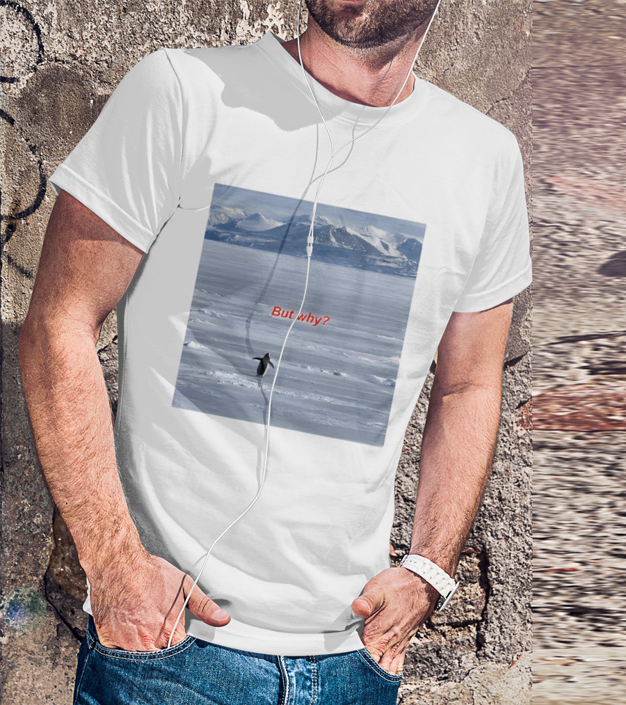 But Why Penguin Nihilist Scenic Antarctic Mountains T-Shirt