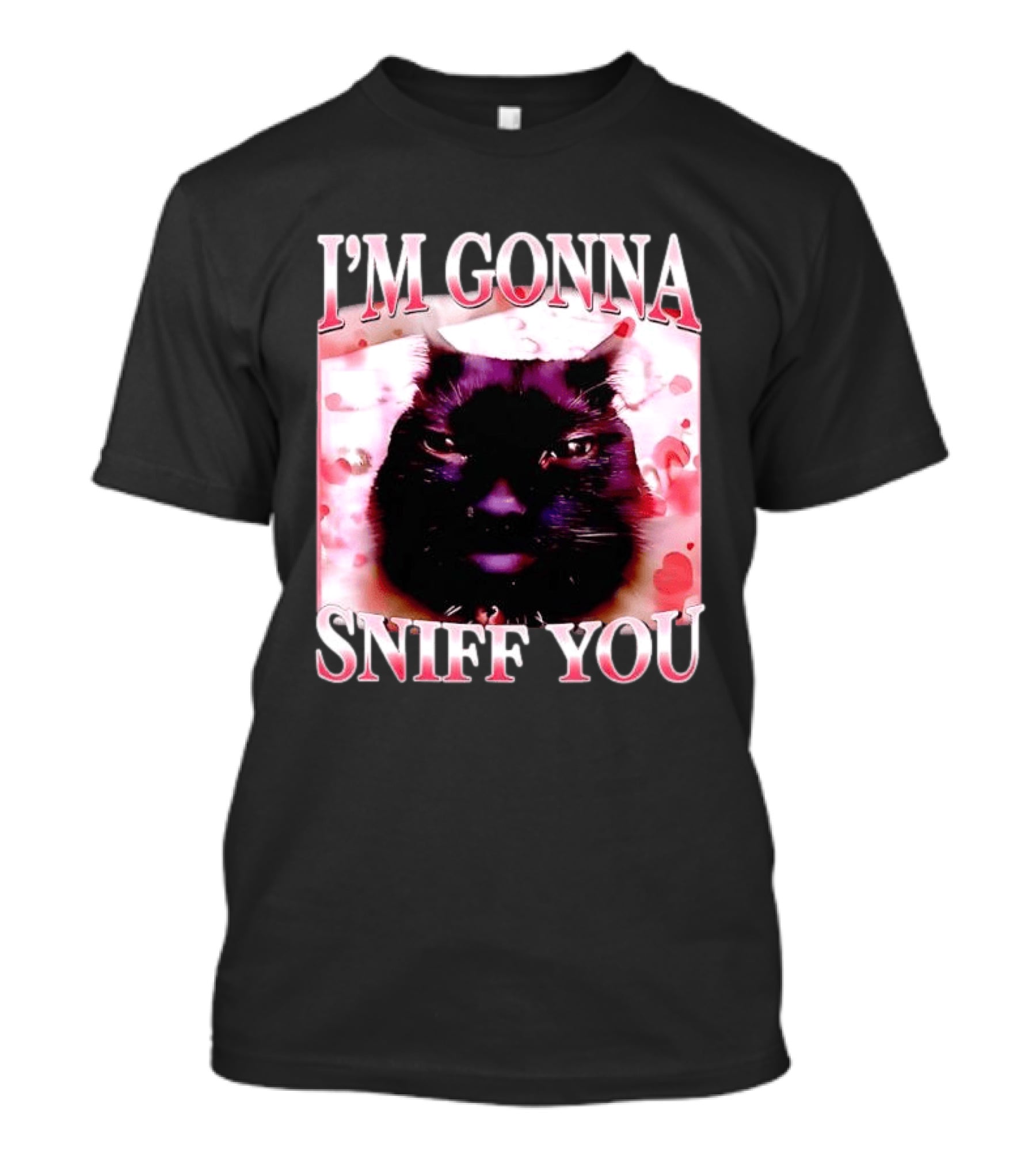 I'm Gonna Sniff You Cat Meme Valentine Aesthetic T-Shirt